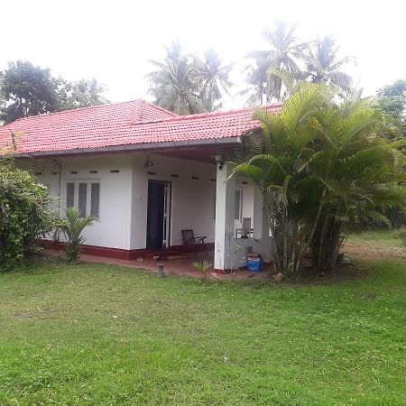 International Meditation Center Hotell Mirissa Exteriör bild